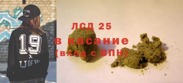 гашик Алексин