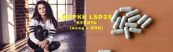 гашик Алексин