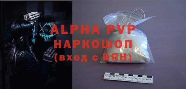 гашик Алексин
