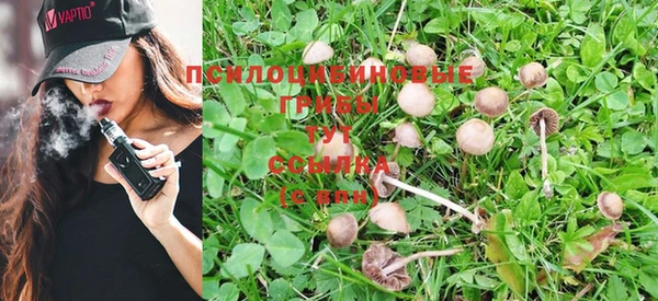 прущая мука Абдулино