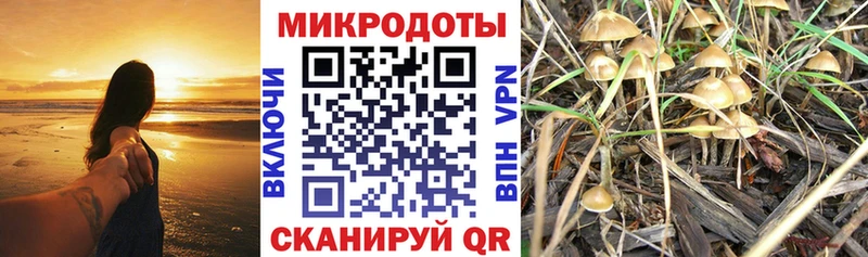 даркнет сайт  Ангарск  Псилоцибиновые грибы Psilocybine cubensis 